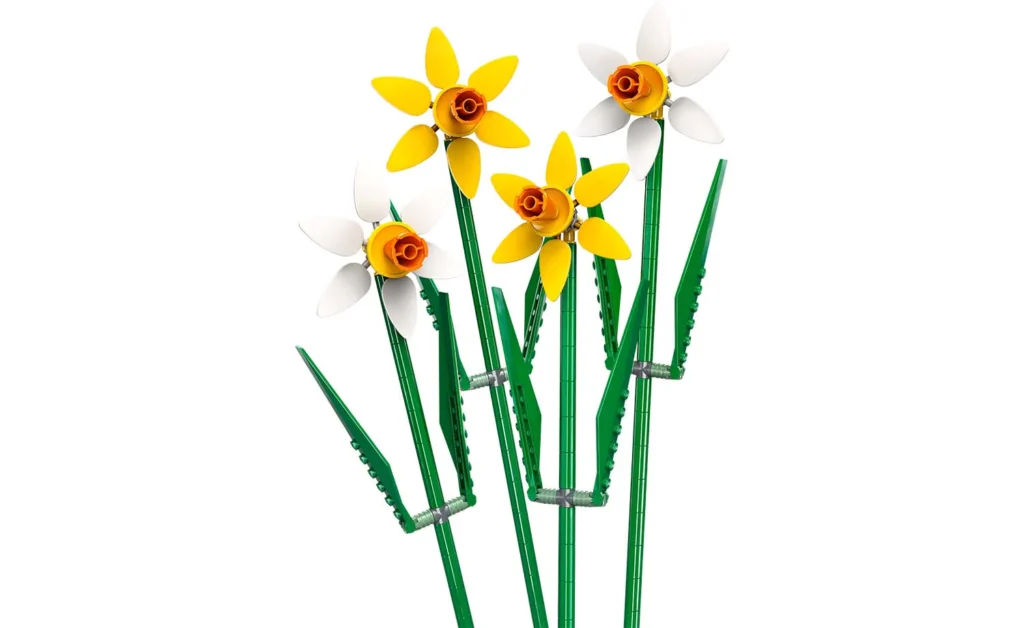 daffodils 1