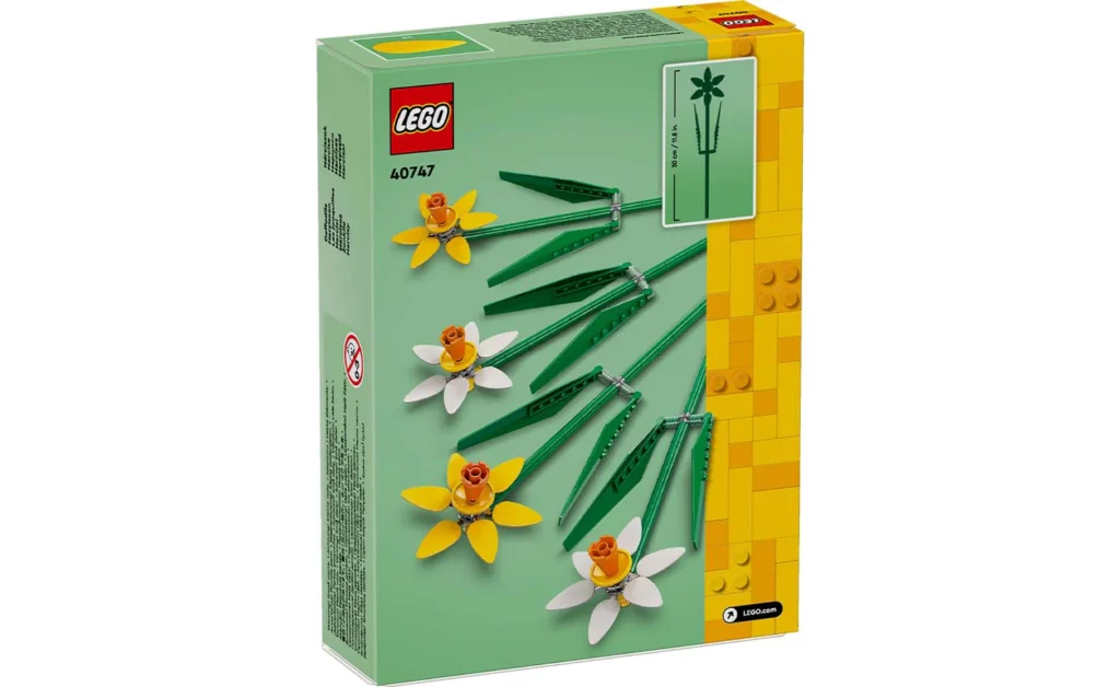 daffodils 2